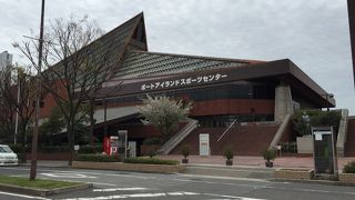 プールにスケート