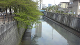 静かになりました