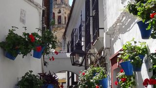 意外と狭いです！