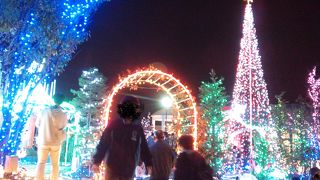 イルミネーションが有名