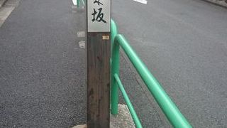 難読です。「もちのきざか」