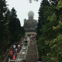 大仏を下から。この階段真夏はキツイかも。