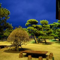 庭の夜景です．