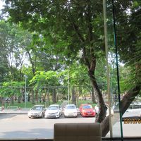 レストランから公園が見えます