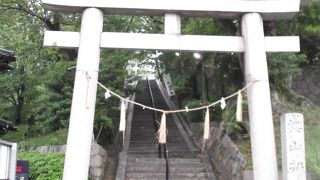 桜の名所－桜山神社