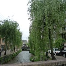 白川に柳がかかる