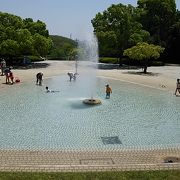 小さな子どもにとっては天国のような公園