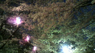 ここでも吉宗さんに感謝