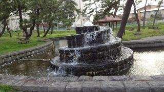 特長は立派な松の木。