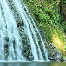 思ってたより水量がなく（笑