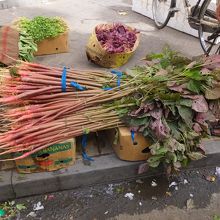 こんな面白い野菜も