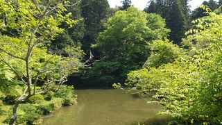 成田山新勝寺と成田山公園