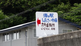 ひょうご　瀬戸内の牡蠣のまちを歩く　赤穂市・坂越(さごし)　2015春