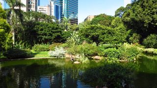 （香港）都会のオアシス！