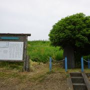 箱根や碓氷と並ぶ重要な関所