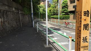 樹木が茂ってます