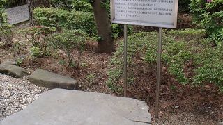 薄くなっていました