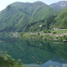 大きな若郷湖は大川ダムによって出来ました