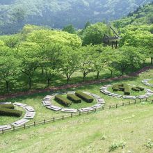 広い公園には四季折々に色々な花が咲き、散策路や東屋もある