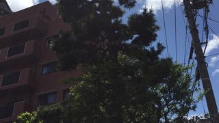 色々と伝説があるようです