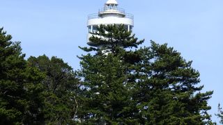 無料だから上ってみた（笑）