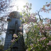 美唄の桜の名所