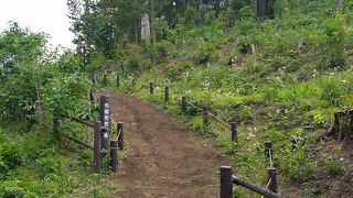 2013年4月に新規オープンの横浜の市民の森