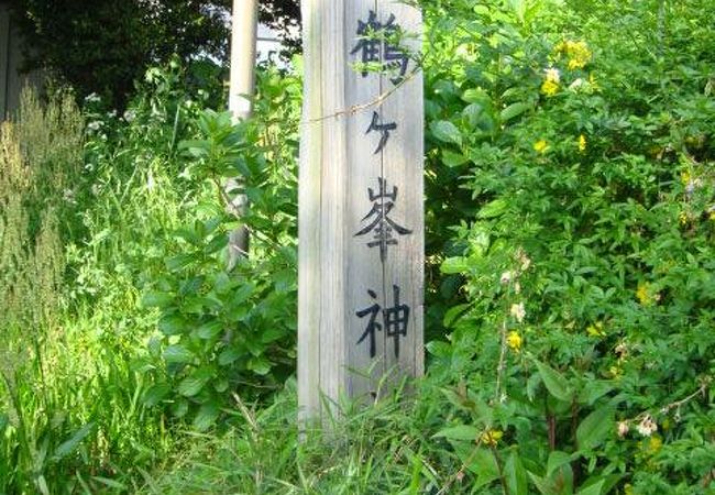 丹沢山系や富士山を望むことができます