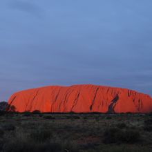 赤く染まります