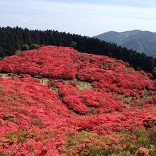 びゅーてぃふぉ☆