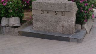 ごく普通の公園