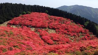 山一面燃えもえー☆