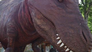 大きな恐竜模型があります