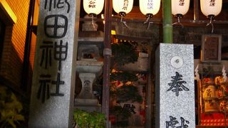 昼間への訪問がおすすめ