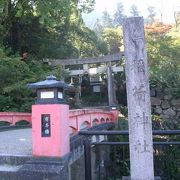 真っ赤な鳥居が並ぶ参道