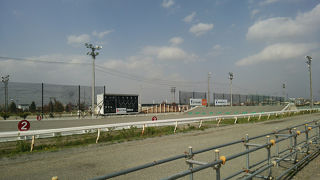 ばんえい競馬ですね