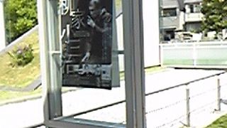 暖かくなりました