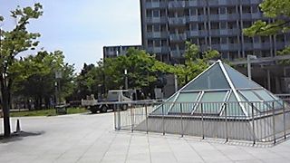 桜のシーズンも終わって