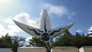 ここがメインです