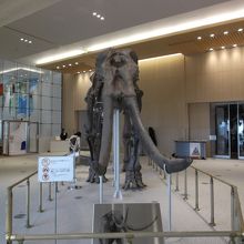 迫力あります。