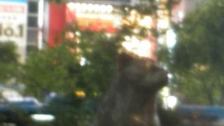 人気の記念撮影スポット