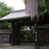 宗胤院