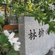 5月上旬、碑の隣でリンゴの花が咲いていた