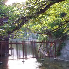 これが高瀬川一之船入