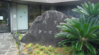 自然観察ツアー