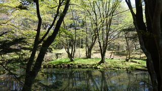 軽井沢、春の雲場池