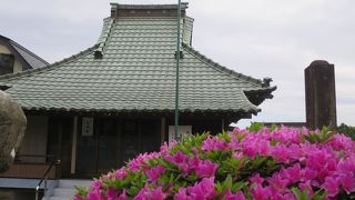 4月下旬、ボタンとつつじの花咲く境内