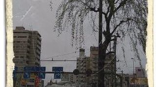 吉原センチメンタリズム