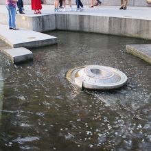 願いを込めコインを投げるところ