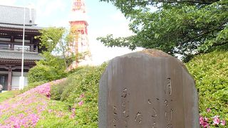 つつじに囲まれて